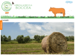Azienda Agricola Boccea - Agricoltura Biologica e Biodinamica Azienda Agricola Boccea