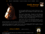 Allevamento cavalli Brunner Emilia a Terzo di Aquileia in provincia di Udine