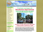 Homepage - Associazione Amici degli Animali Città di Palermo
