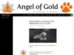 Angel Of Gold | Friskvård Rehab för Hundar