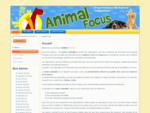 Animal Focus, organisation de salons animaliers