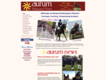 Aurum - Breeding Quality Dressage, Showjumping and Eventing Horses