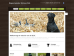 Belgian Labrador Retriever Club