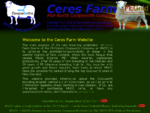Coopworth Ram Breeder - Ceres Farm Ltd, New Zealand
