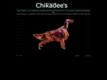Kennel Chikadee's Irish Red Setter – Breeding of lovely Irish Red Setter puppies