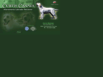 . CURTIS CANAVA - Allevamento Labrador Retriever .