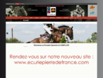 Pierre Defrance Ecurie Centre équestre Sandillon Loiret - Accueil