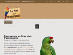 Elevage de perroquets élevage de perroquets dans le sud de la France (le Mas Aux Perroquets)