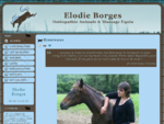 Elodie Borges - Ostéopathe Equin et Canin