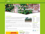 GroenRijk Middelburg, tuincentrum en vuurwerkverkoop