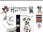 Home - Handsome Friends Dalmatische Honden