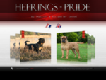Hefrings Pride - BullMastiff Rottweiler Kennel