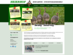 Struisvogel Excursies - Boerengolf - Klootschieten - Camping - Uitjes | Heierhof