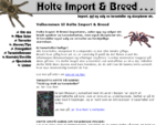 Holte Import Breed - Import, avl og salg av tarantella og skorpioner etc.