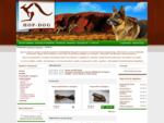 Hop-Dog - zdrowe przysmaki z kangurów dla Twojego psa