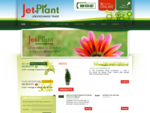 Vendita piante on-line - Produttori piante - Piante d'appartamento - Jet Plant