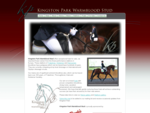 Kingston Park Warmblood Stud - Trakehner, Holsteiner, Hanoverian horses for sale or breeding