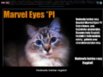 Hodowla kotów rasy ragdoll Marvel Eyes Czernikowo k. Torunia