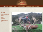 Trophy Red Stag Hunting, Free Range Hunting, New Zealand | Mountain Hunters
