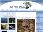 Nga Manu Nature Reserve Images, Conservation, Photographs, Gallery, Library, Animals, Flora an