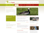 Over Vogels - Home | Informatie over verschillende vogelsoorten en vogelziektes