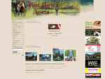 Paint Horse Austria -