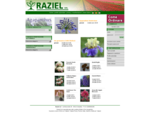 Raziel - Vendita Bulbi, sementi e Fiori. Vendita online Bulbi e sementi per fiori