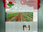 Szkółka róż i krzewów ozdobnych Spasówka - strona główna