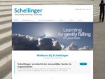 Schellinger consulting training coaching - Home