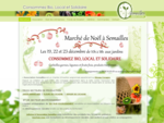 Paniers de légumes légumes et bouquet de fleurs bio AvignonAssociation Semailles