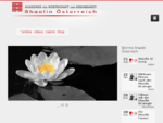 Shaolin Österreich – Bewegung, Kraft, Stille gt;gt; Ausbildungen und Training in Shaolin Qi Gong m