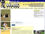 Centro attività cinofile Ska Dog - educazione e addestramento cani