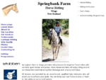 Springbank Farm - Otago horse riding lessons, riding school, Otago New Zealand