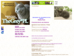 The Grey - hodowla kotów rasy Nebelung