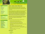 Návrhy a realizace zahrad Brno, Údržba zeleně