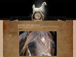Valinor Park Arabians | Valinor Park Arabians - Arabian Horse Stud
