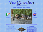 Vestfjorden - gatti norvegesi della foresta - gatto norvegese della foresta