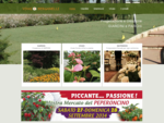 Progettazione Realizzazione Creazione Giardini e Parchi Bergamo - Vivaio Bergamelli