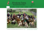 Woodcote Dog Farms | Boarding Kennels Cattery | Pets Day Care, Hotel | Massey, Auckland