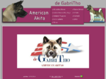 American Akita de GabriTho, Gabriele Thoma, meine Hunde, Deckrüden, Nachzucht, Welpen