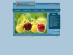 Basstion Fruit Sp. z o. o. - sprzedaż jabłek, sprzedaż gruszek, sprzedaż owoców, export jabłek,