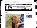 Börta Stom Ponny Smådjur | Shetlandsponnyn – ponnyn du aldrig växer ur! Aktiviteter för