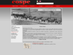 Cospe s. r. l. - Noleggio caldaie industriali | Benvenuti sul sito caldaie Cospe s. r. l.