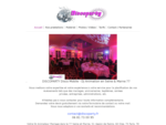 DISCOPARTY Disco Mobile DJ Animateur en Seine  Marne 77 pour vos mariages, anniversaires, s...