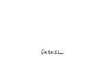 Gabriel Agency