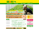 東京都・葛飾区で生産されている地場産野菜を紹介するページ。季節の特産品や、葛飾元気野菜を使用する飲食店をご案内します。