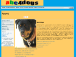 abc4dogs - Εκπαιδευτής σκύλων - Θετική εκπαίδευση σκύλων