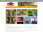 African Safari Tours | Botswana Safaris | Kenya Safaris | SA Safari