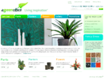 Indoor Plant Hire | A Green Office Sydney