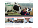 Aiasport Onlus | Attività equestre per disabili